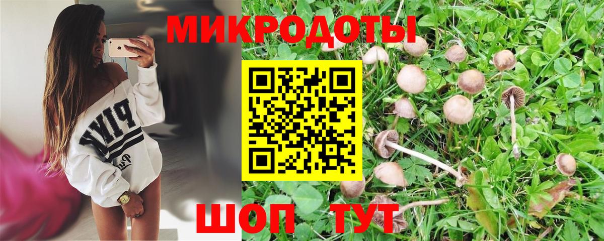 Псилоцибиновые грибы мицелий Аша